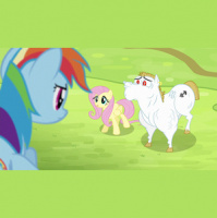 Pony 411 Episode 39- Nothing Important