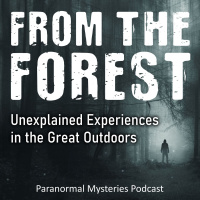 276: From The Forest – Bigfoot, Pale Humanoids  A Prehistoric Bird | Paranormal Mysteries