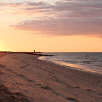 LMG’s Soul Eclectics: “Summer’s End”