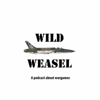 Wild Weasel 17