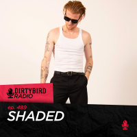 Dirtybird Radio 489 - Shaded