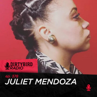 Dirtybird Radio 378 - Julie Mendoza