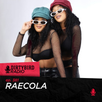 Dirtybird Radio 381 - RaeCola
