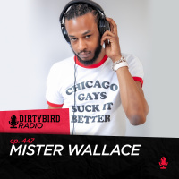 Dirtybird Radio 447 - Mister Wallace