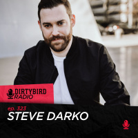 Dirtybird Radio 323 - Steve Darko