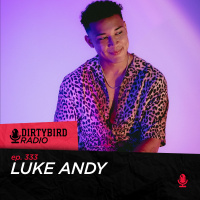 Dirtybird Radio 333 - Luke Andy