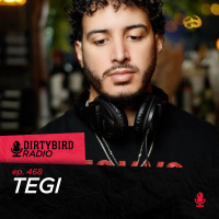 Dirtybird Radio 468 - TEGI