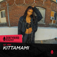 Dirtybird Radio 494 - Kittamami