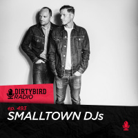 Dirtybird Radio 493 - Smalltown DJs