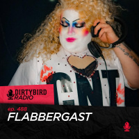 Dirtybird Radio 488 - Flabbergast