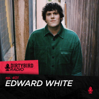 Dirtybird Radio 401 - Edward White