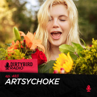 Dirtybird Radio 483 - Artsychoke