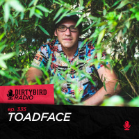 Dirtybird Radio 335 - Toadface