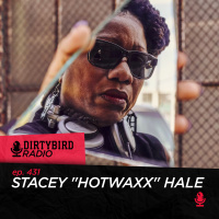 Dirtybird Radio 431 - Stacey Hotwaxx Hale