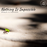 Nothing Is Impossible