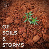 Of Soils  Storms
