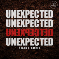 2. Unexpected - Samaritan Woman