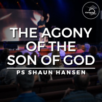 The Agony of the Son of God