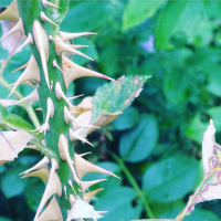 Episode 53 - This Isnt Working For Me