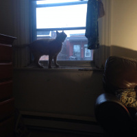 Episode 54 - Class Dismissed