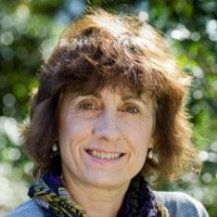 Interview with Lesley Hughes, Distinguished Professor of Biological Science at Macquarie University