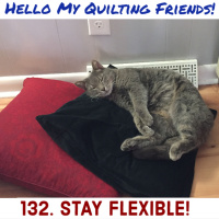 Be Flexible! Figure Out What You Must Do to Keep Quilting! Podcast 132