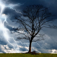 Gioachino Rossini 4: Weather in Music