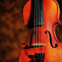 Antonio Vivaldi 3: Violin Concertos Through the Ages