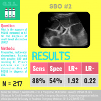 Small Bowel Obstruction (#2)