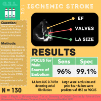 Ischemic Stroke
