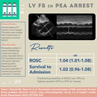 Quantitative LV Function in PEA