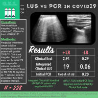 Integrated Lung Ultrasound for the Diagnosis of COVID-19
