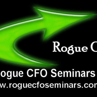 Rogue Cfos Expert Guide To Launching A Startup