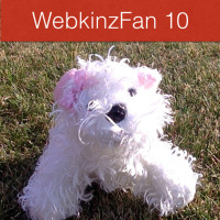 Happy Birthday WebkinzFan 10! [2015]
