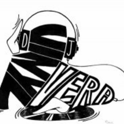 Dj Vinyl Vera-in The Mix