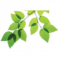 Show 30 Michelle Eichinger