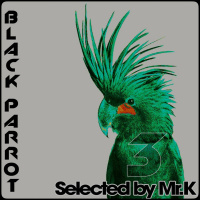 Black Parrot vol.3 - Selected by Mr.K