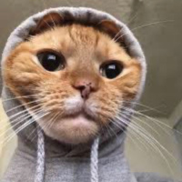 Qué nos está pasando?