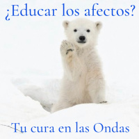 Educar los afectos?