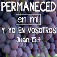Permaneced en mi