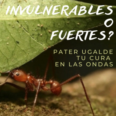 Iñigo Tu Cura En La Red.pater Ugalde