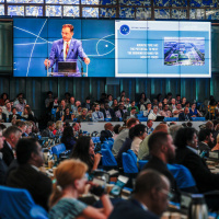 FAO Brief - 15 July 2024