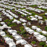 FAO Brief – 20 January 2025