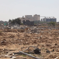 FAO Brief - 1 July 2024