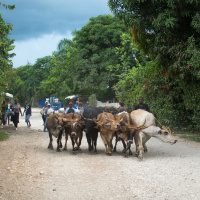 La FAO en Bref - 16 septembre 2024