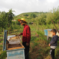 La FAO en minutos – 21 de julio de 2025