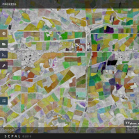 FAO Brief - 17 February 2025