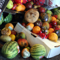 La FAO en Minutos - 30 de Septiembre de 2024