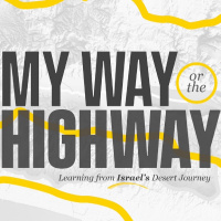 My Way or the Highway