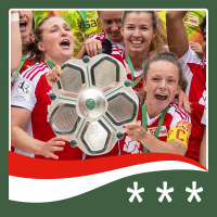 #614 – Der Kubikelfenbär und die Ballblume